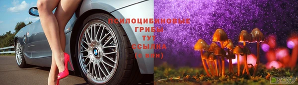 хмурый Дмитров