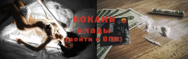хмурый Дмитров