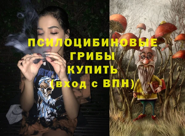 скорость Дмитриев