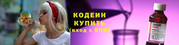 хмурый Дмитров