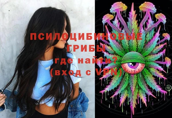 бошки Дмитровск