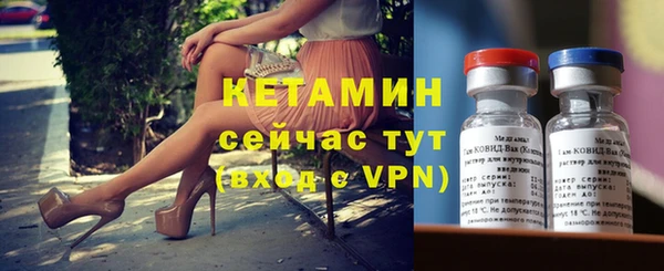 хмурый Дмитров