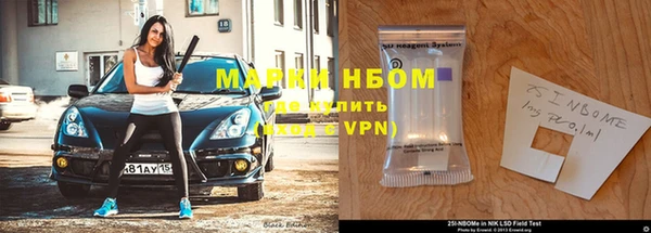 хмурый Дмитров