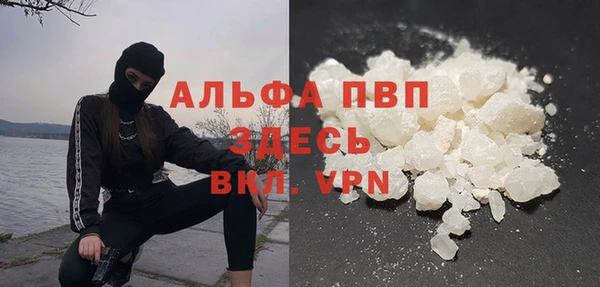 хмурый Дмитров