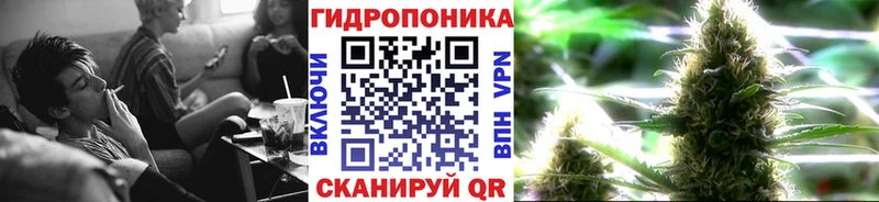 Купить где  Фатеж  Марихуана конопля 